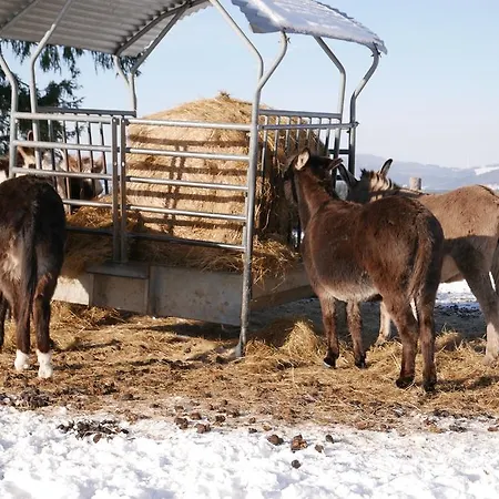 Eifelglueck Шалькенмерен