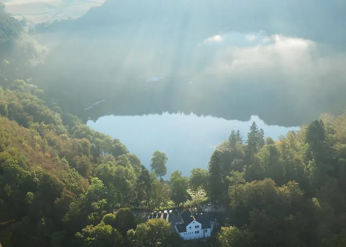 Апартаменты Hens *